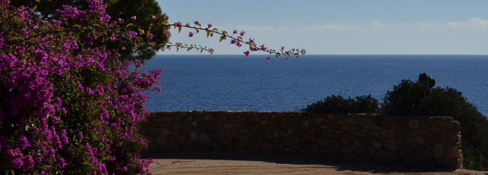 La Collinetta di Capo Boi - 3