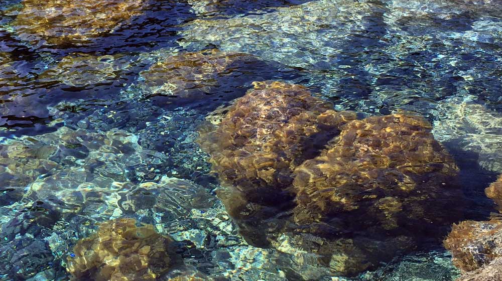 La Collinetta di Capo Boi - 5